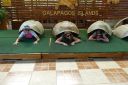 DSC00689.JPG
