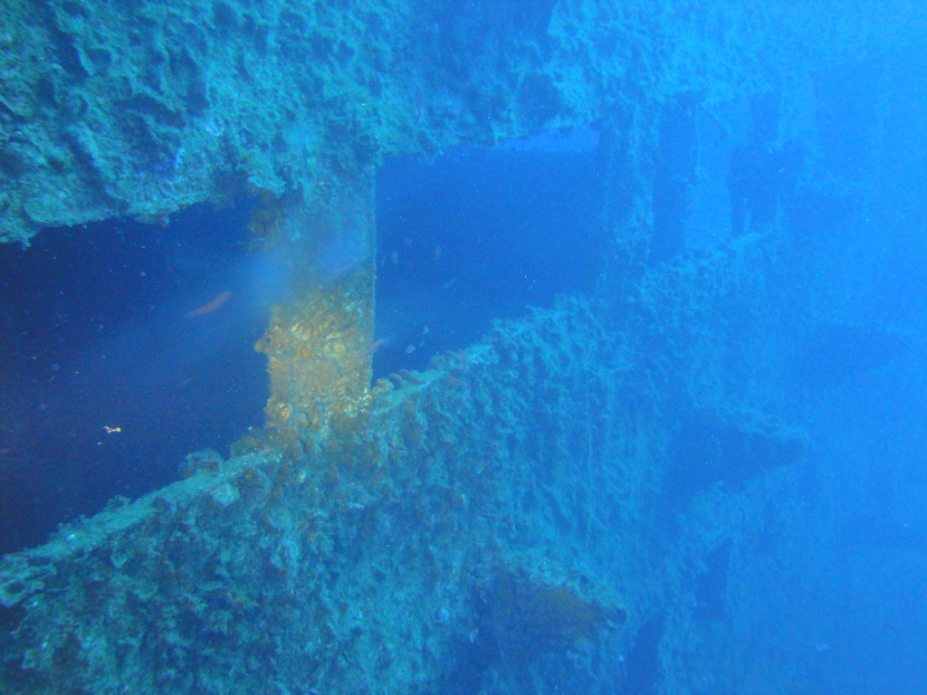 DSC00004.JPG