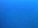 DSC00009.JPG