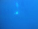 DSC00010.JPG