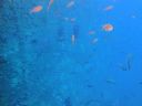 DSC00017.JPG