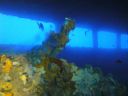 DSC00056.JPG