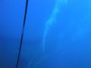 DSC00058.JPG