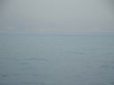 DSC00063.JPG