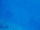 DSC00070.JPG