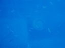 DSC00074.JPG