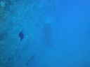 DSC00100.JPG