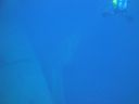 DSC00236.JPG