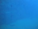 DSC00246.JPG
