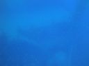 DSC00260.JPG