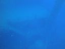 DSC00261.JPG