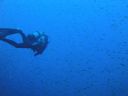 DSC00277.JPG