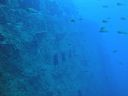 DSC00279.JPG