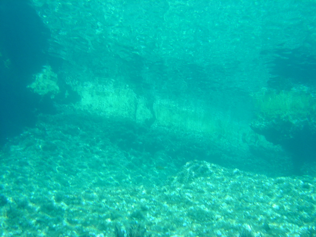 DSC00100.JPG