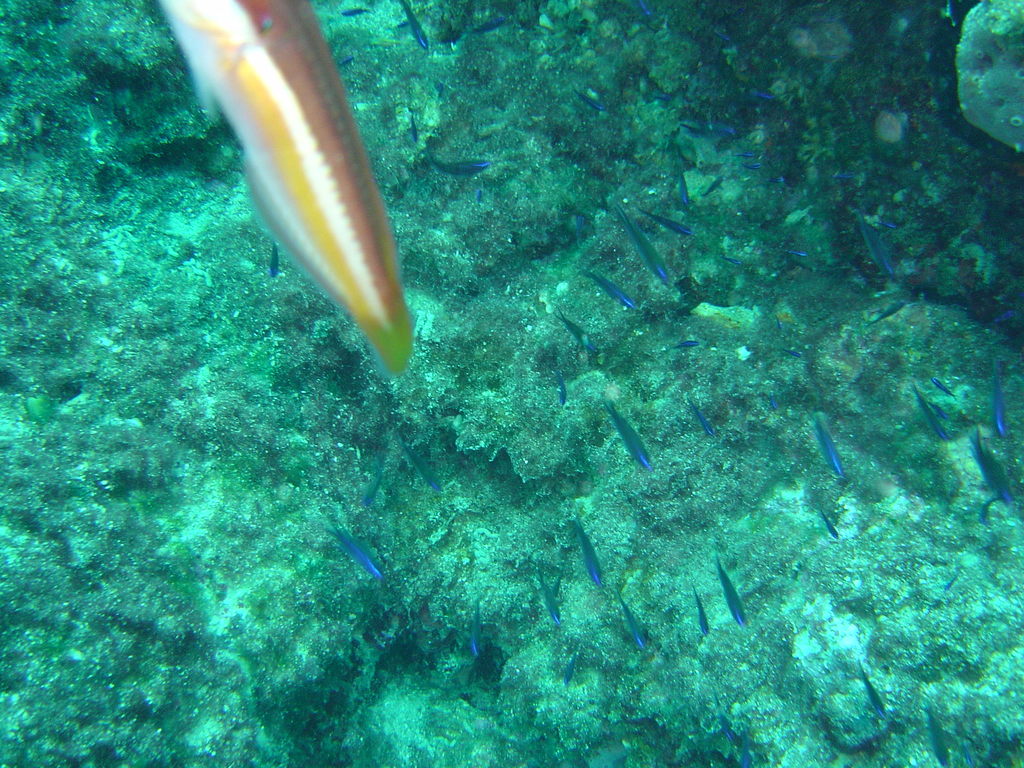 DSC00146.JPG