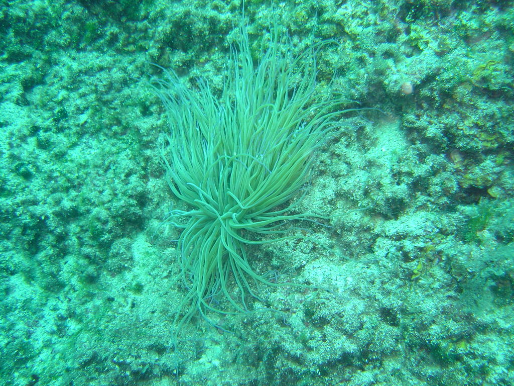 DSC00147.JPG