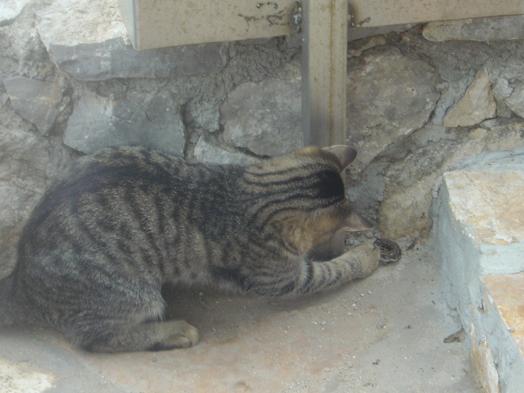 DSC00149.JPG