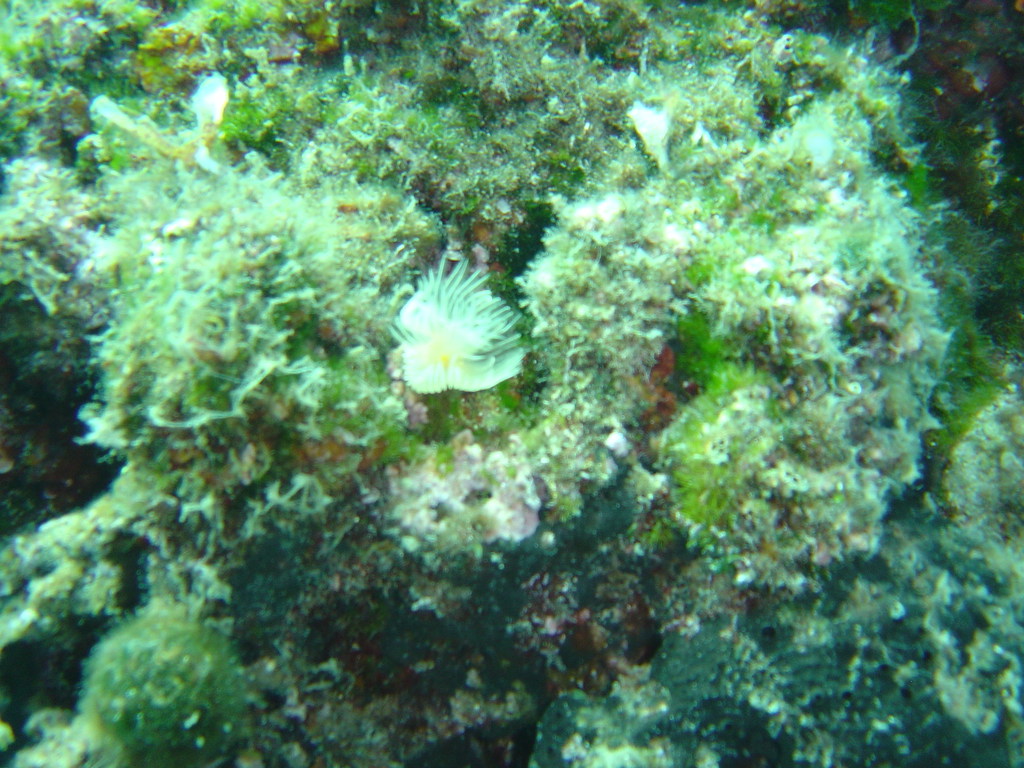 DSC00166.JPG