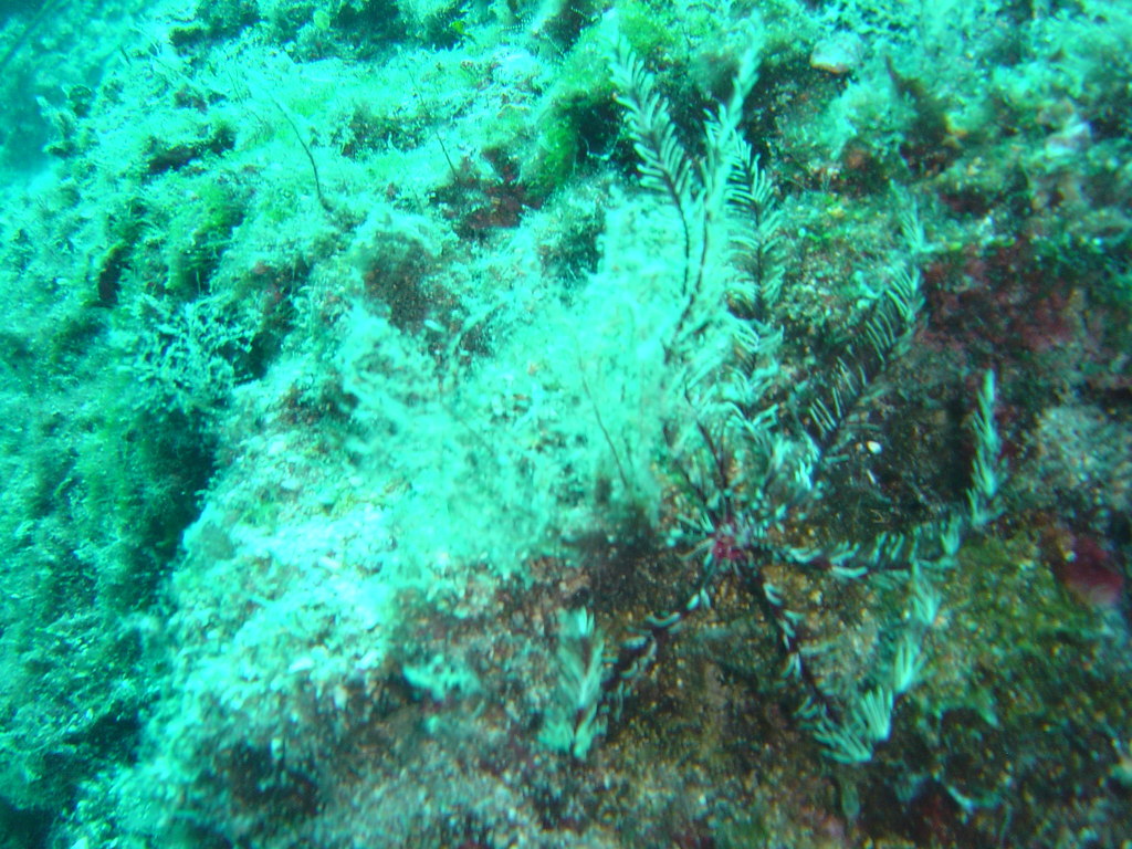 DSC00178.JPG