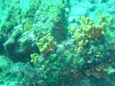 DSC00097.JPG