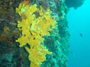 DSC00105.JPG