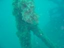 DSC00117.JPG