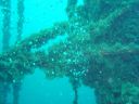 DSC00127.JPG
