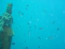 DSC00135.JPG