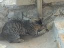 DSC00149.JPG