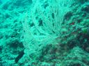 DSC00158.JPG