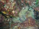 DSC00162.JPG