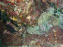 DSC00163.JPG