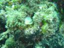 DSC00166.JPG