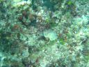 DSC00167.JPG