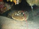 DSC00175.JPG
