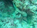 DSC00182.JPG