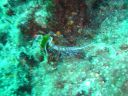 DSC00191.JPG