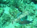 DSC00200.JPG