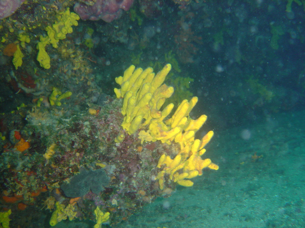 DSC00004.JPG