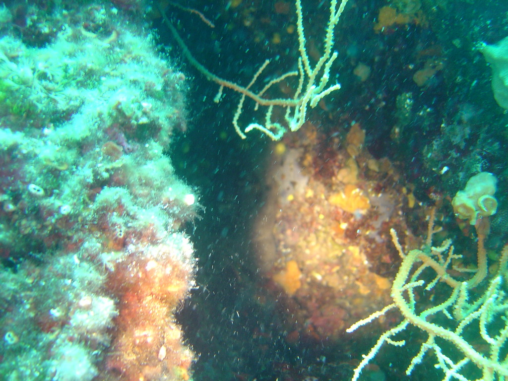 DSC00012.JPG