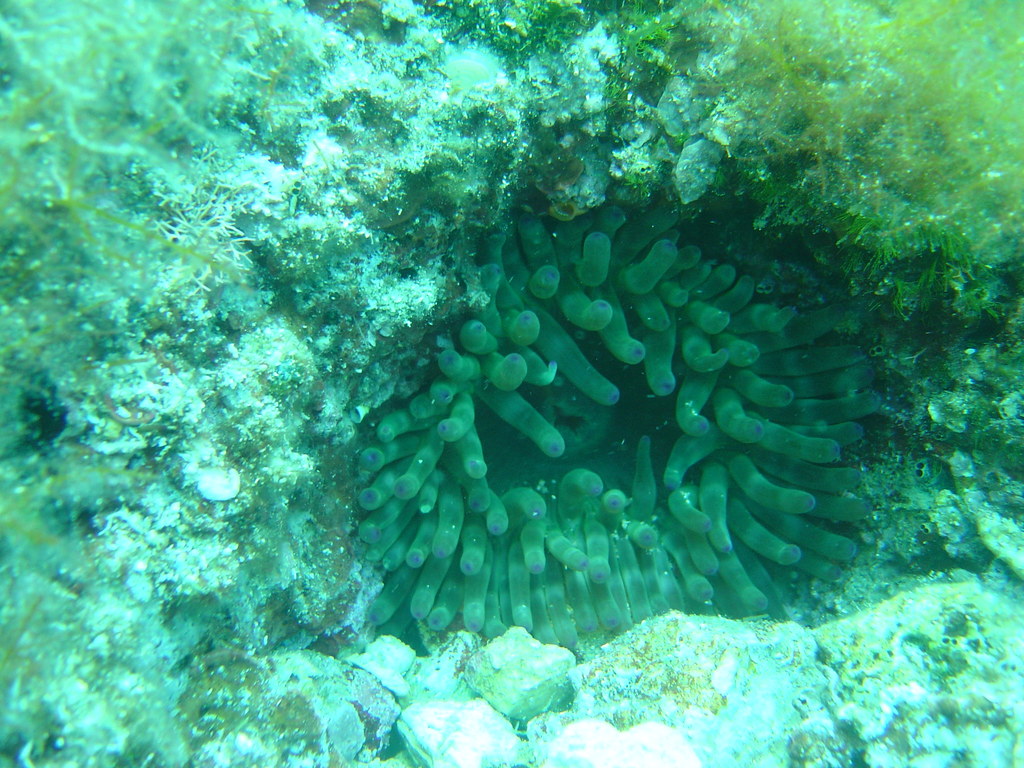 DSC00013.JPG