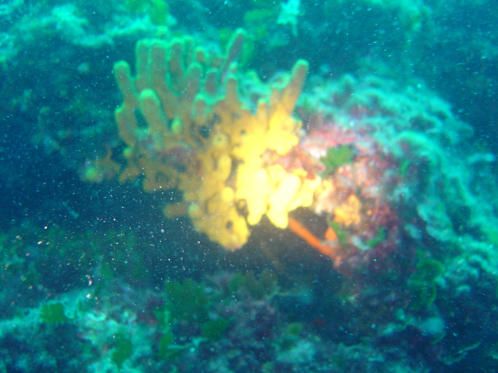 DSC00015.JPG