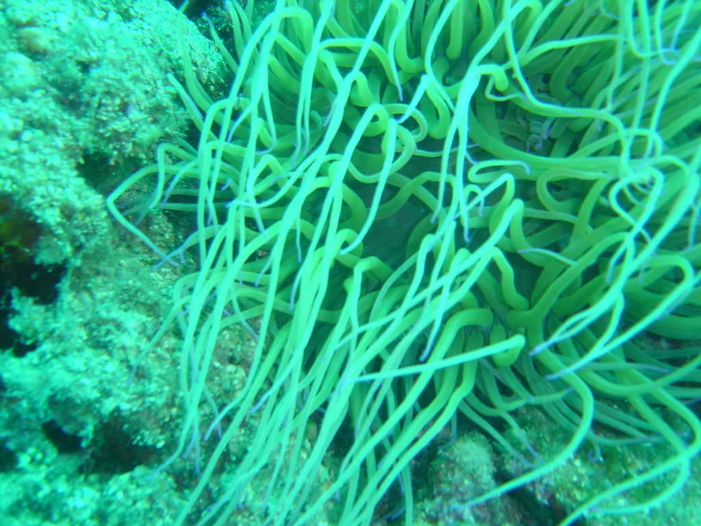 DSC00028.JPG