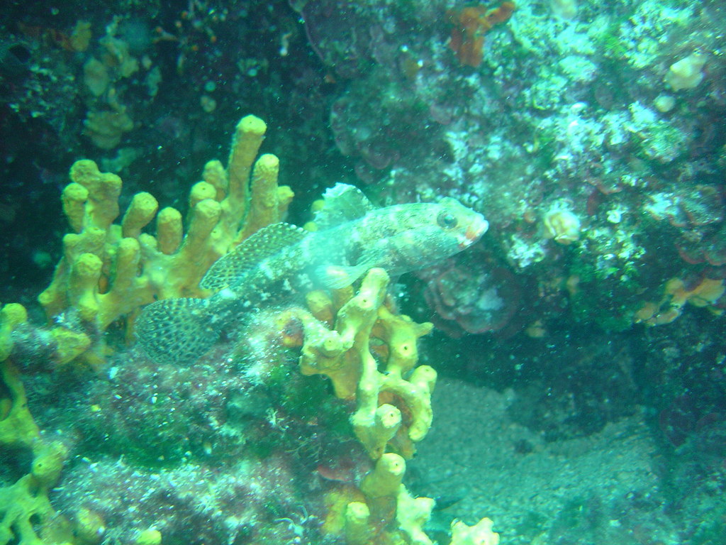 DSC00032.JPG