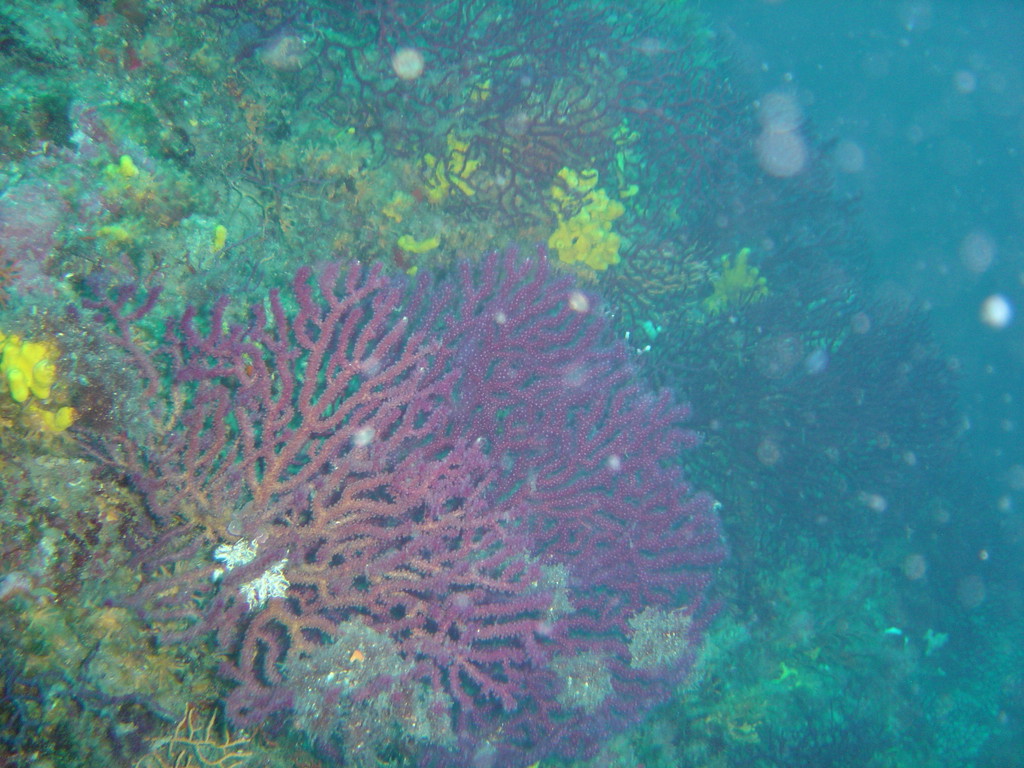 DSC00042.JPG