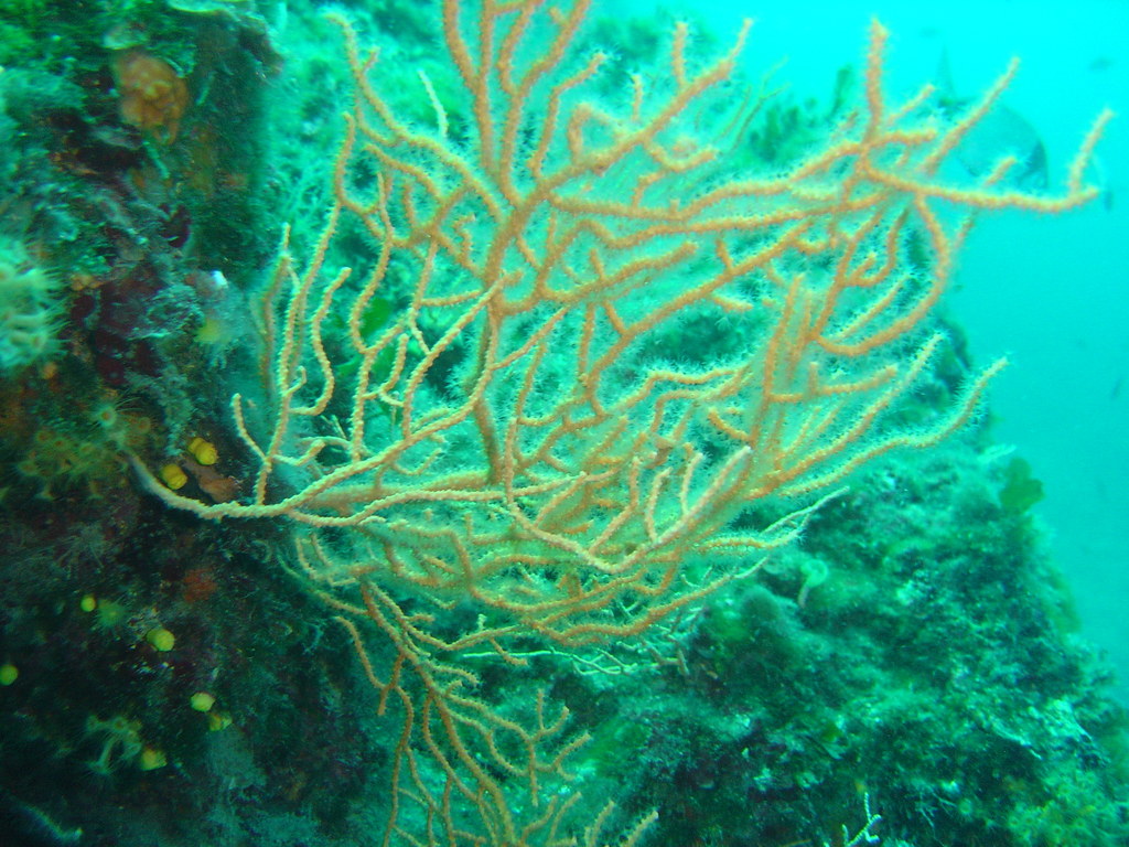 DSC00045.JPG