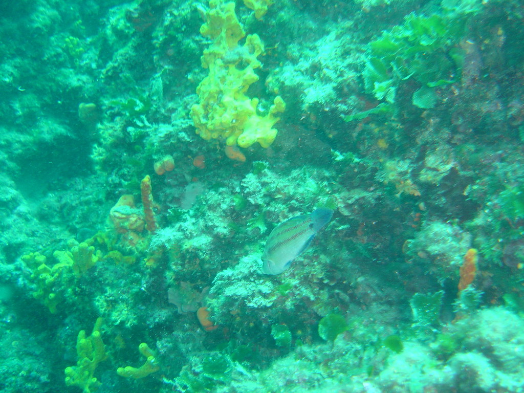 DSC00047.JPG
