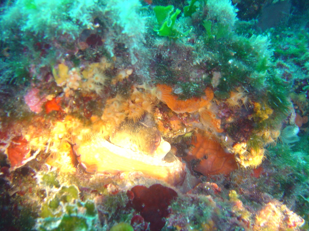 DSC00049.JPG