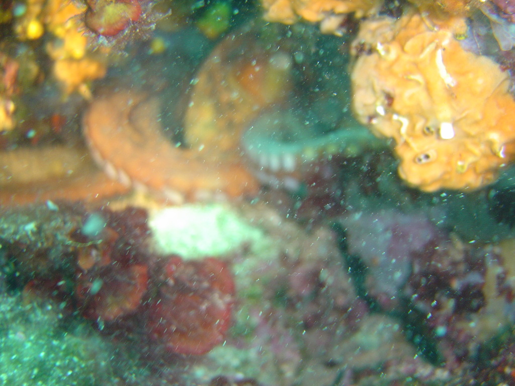 DSC00054.JPG