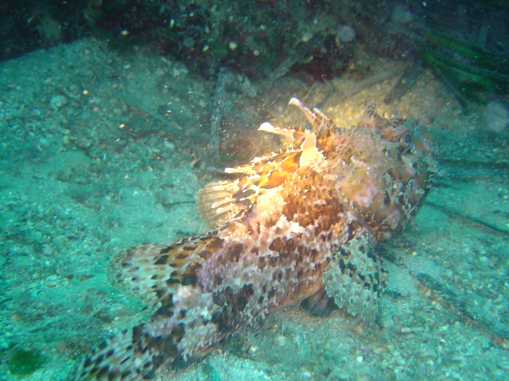 DSC00055.JPG
